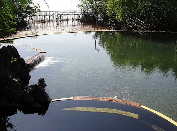 Maquinit Hot Springs