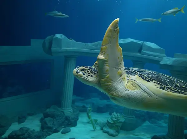 Porto Sea Life Aquarium