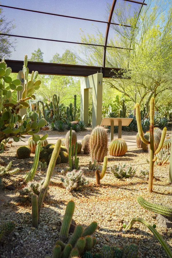 Desert Botanical Garden