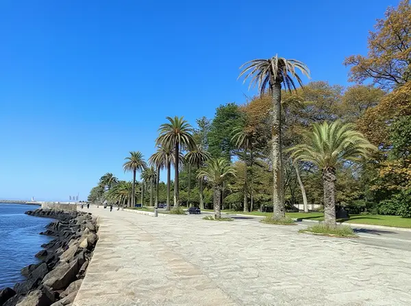 Passeio Alegre Garden