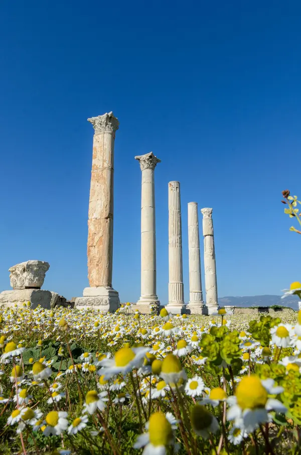Laodicea