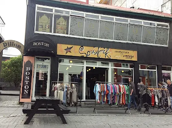 Laugavegur Shopping Street 2