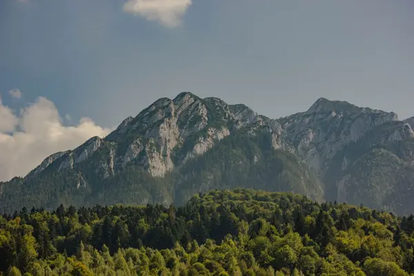 Piatra Craiului National Park
