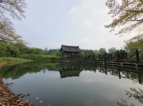Taizhou Bay National Wetland Park