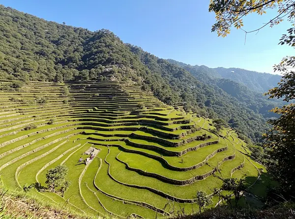 Banaue Rice Terraces (Banaue)