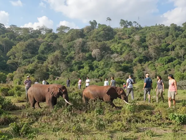 Aberdare National Park