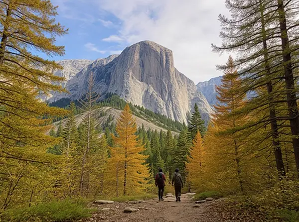 Kopaonik National Park