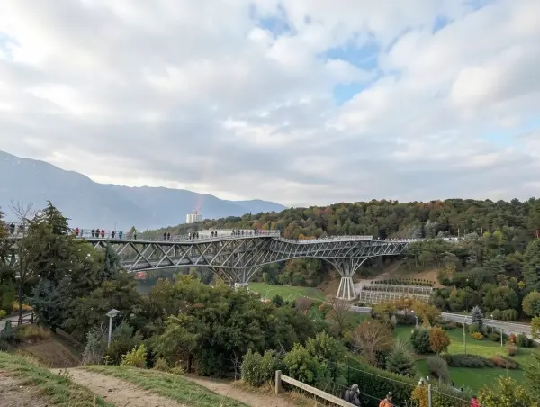 Tabiat Bridge
