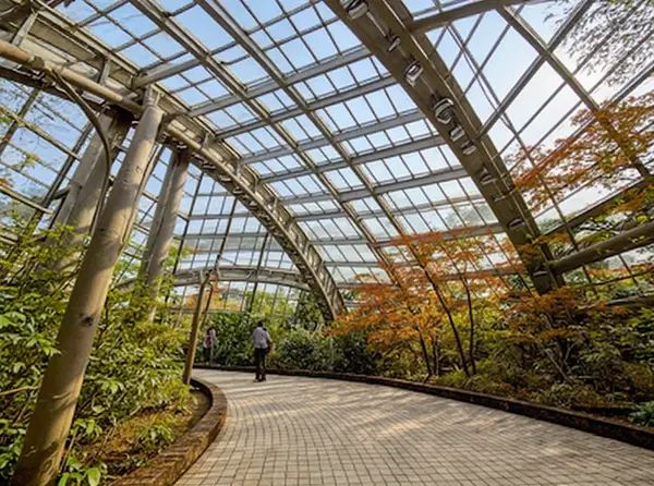 Lake Ashi boat walk and hike