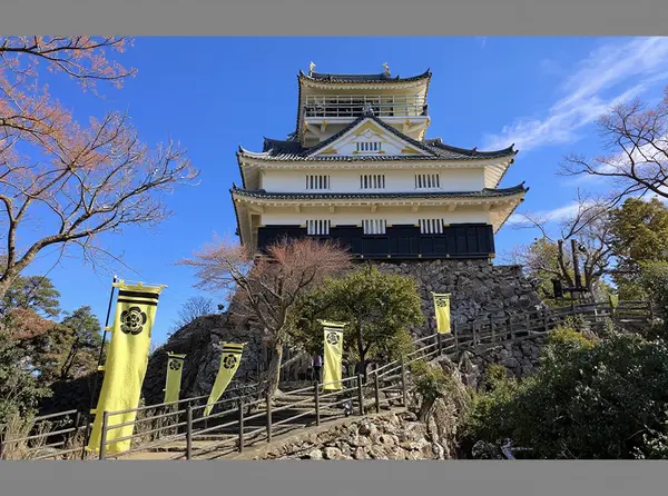 Gifu Castle
