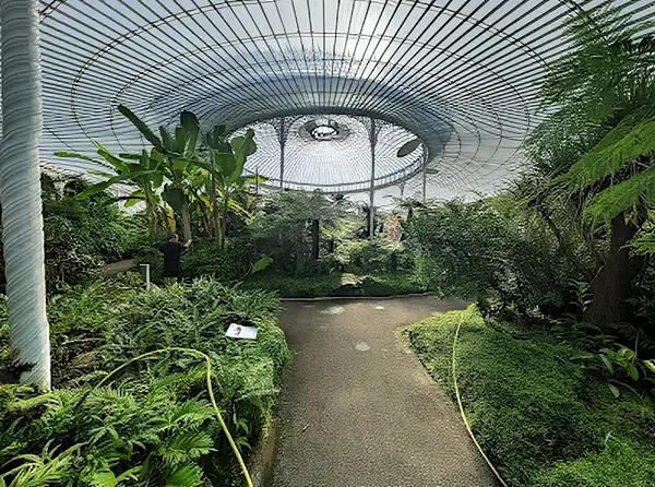 Glasgow Botanic Gardens 2