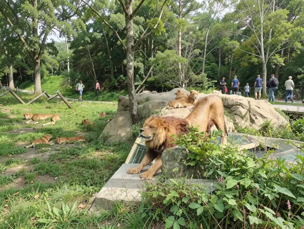 Fuji Safari Park