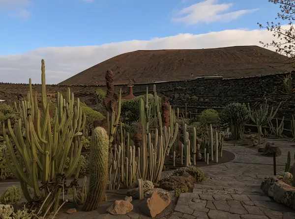 Jardín de Cactus (Cactus Garden)