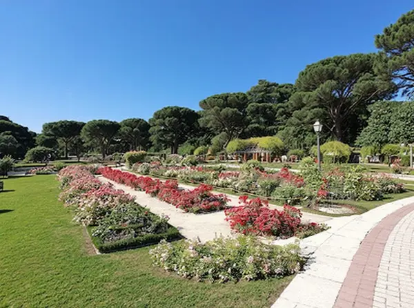 Secret Viewpoint at Parque del Oeste