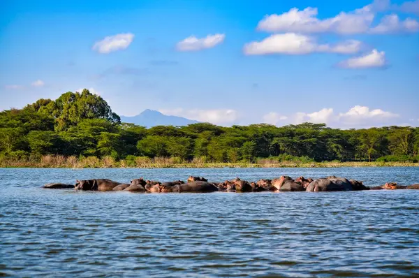 Hippo Point