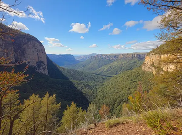 Blue Mountains National Park