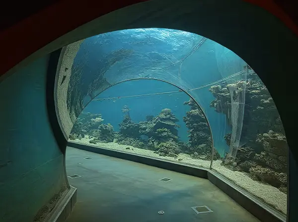 Underwater Observatory Marine Park