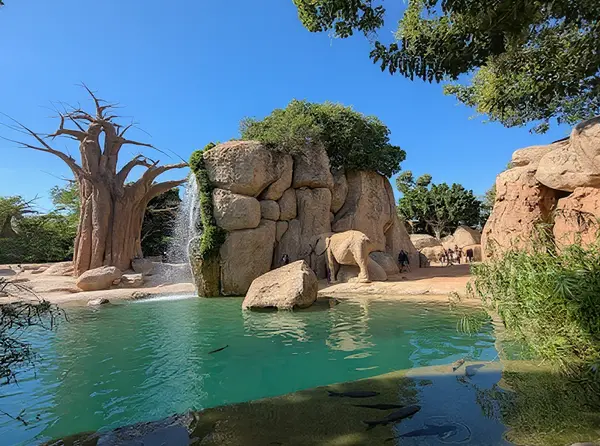 Bioparc Valencia
