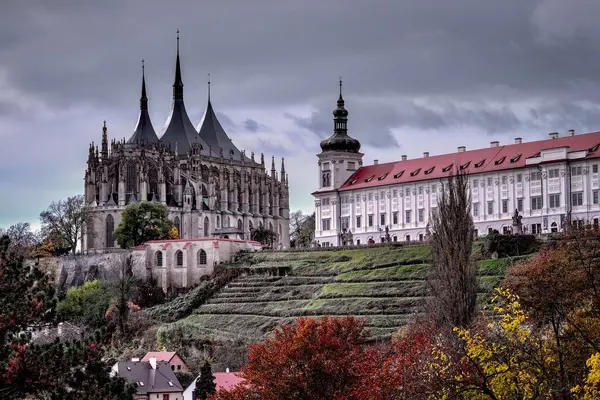 Jesuit College Museum