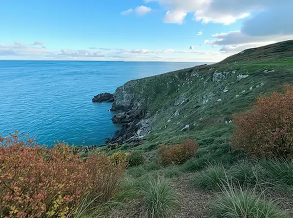 Howth Coastal Walk 5
