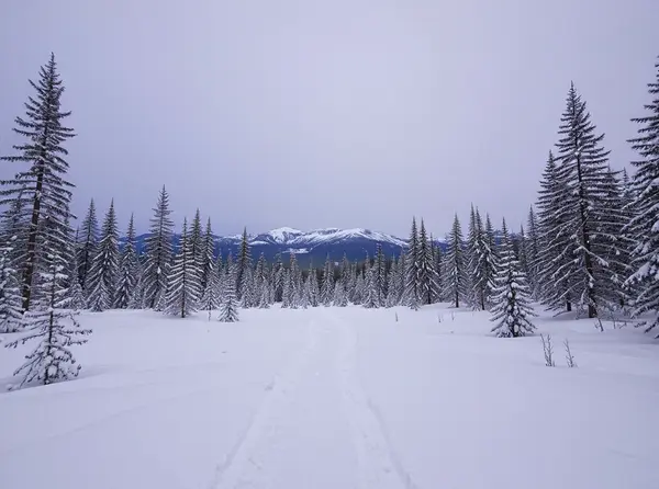 Abisko National Park