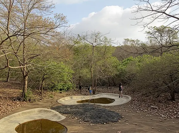 Sanjay Gandhi National Park and Kanheri Caves