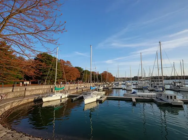 Marina de Ponta Delgada