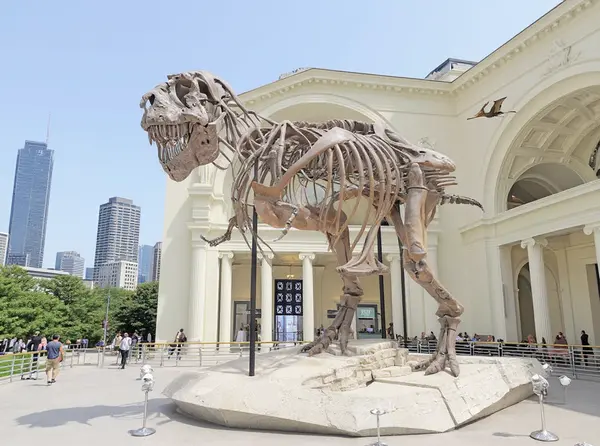 Field Museum