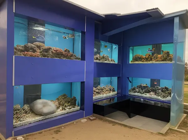 Museum of the Danube Delta