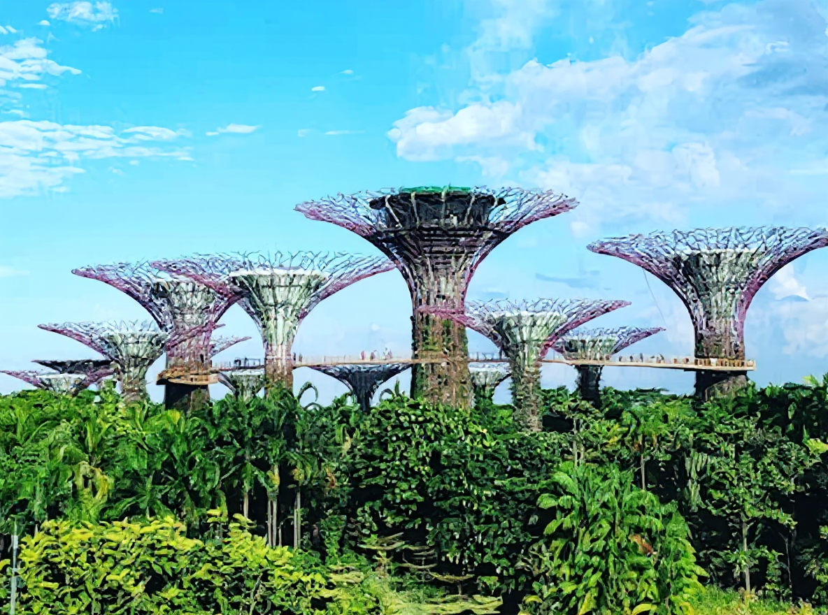 Gardens by the Bay