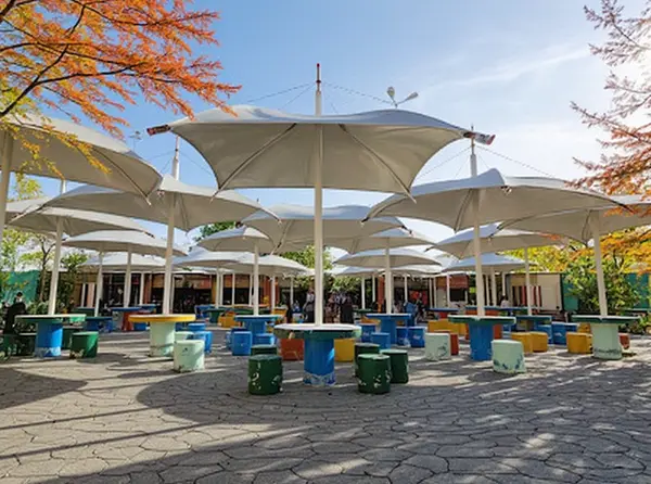 Parque Las Palapas 2