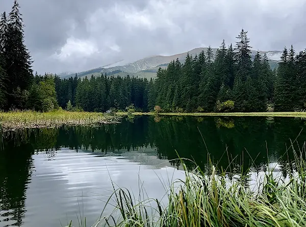 Vrbické pleso