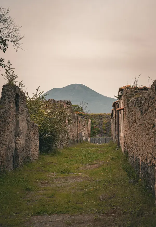 Vesuvius National Park