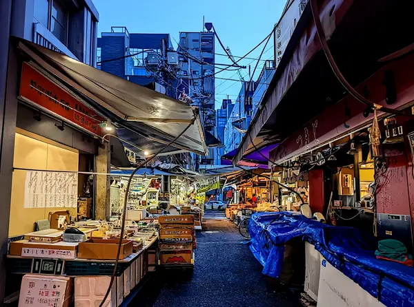 Tsukiji Outer Market