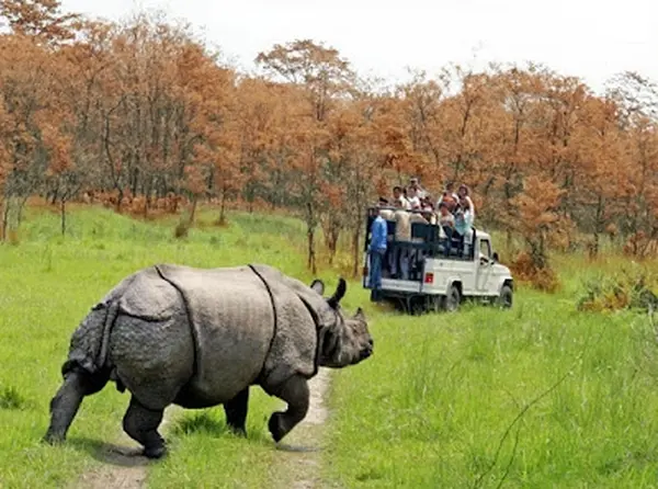 Chitwan National Park
