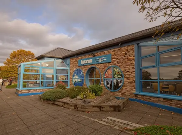 Dingle Oceanworld Aquarium