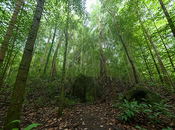 Phú Quốc National Park (Phu Quoc)