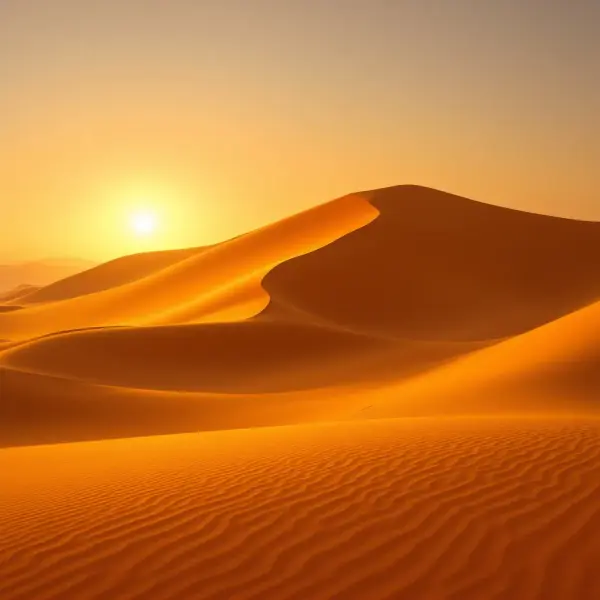 Wahiba Sands