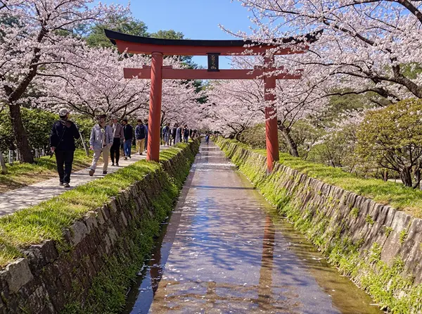 Stroll along the Philosopher's Path
