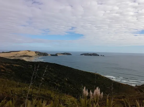 Cape Reinga Walkway