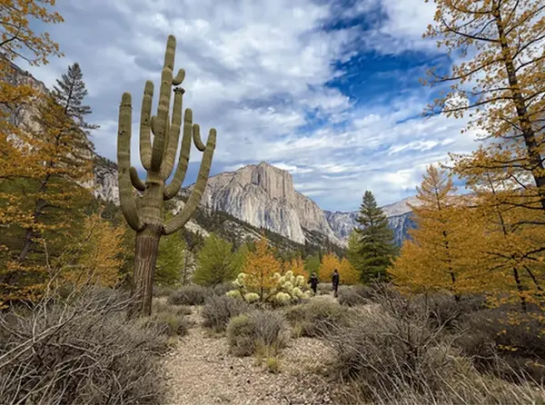 McDowell Sonoran Preserve