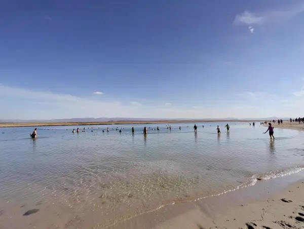 Laguna Cejar