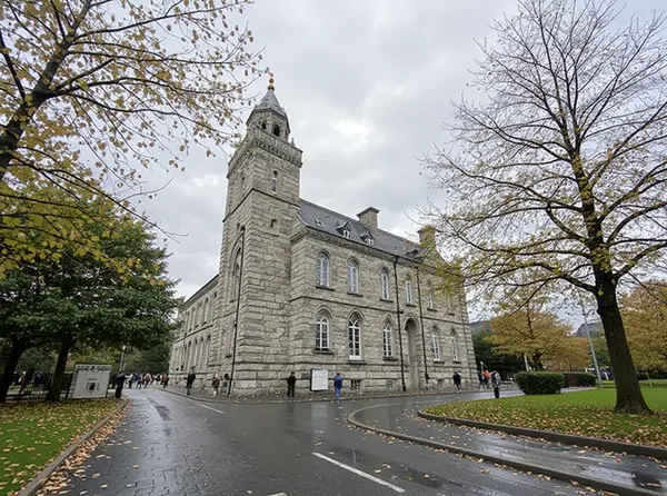 Galway City Walking Tour