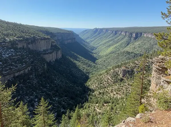 Black River Gorges National Park