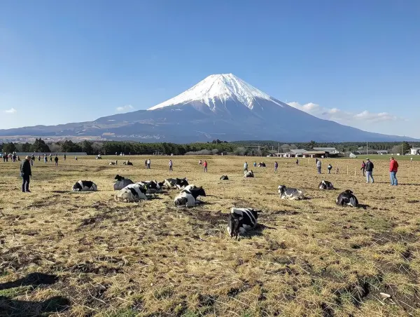 Asagiri Plateau
