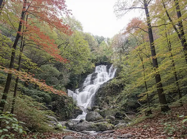 Killarney National Park
