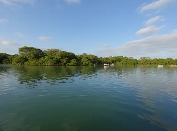 Laguna Nichupté (Nichupté Lagoon) - mangroves & boat tours