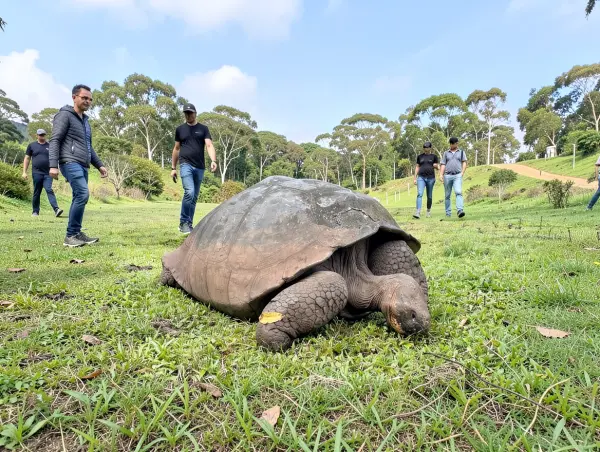El Chato Tortoise Reserve