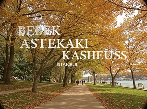 Bebek Park and Bosphorus Walk