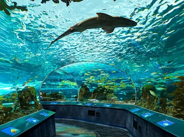 Ripley's Aquarium of Canada